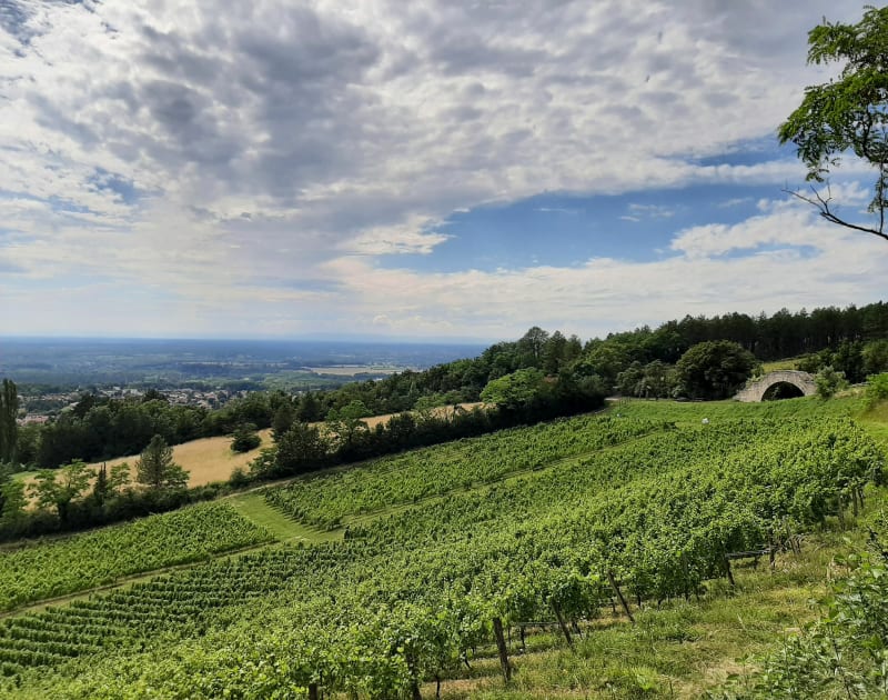 Mont July et site de la cabane du Maquis - Ceyzériat