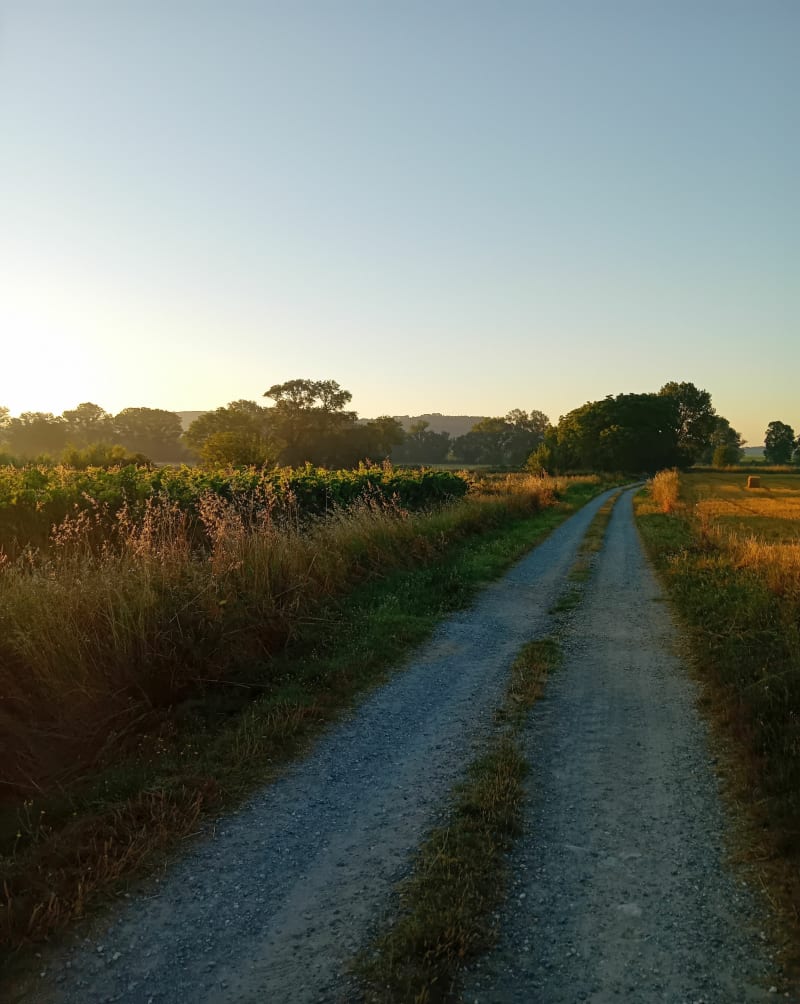 Marche rapide dans les vignes depuis Lédignan - Aigremont