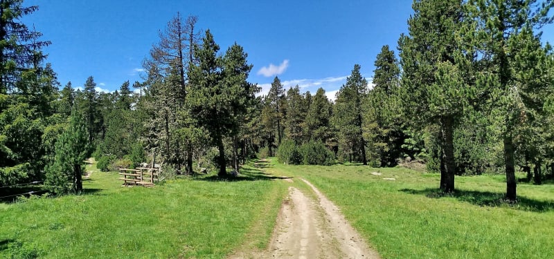 La Llagonne le Jaça d'en Calvet par la forêt domaniale - La Llagonne