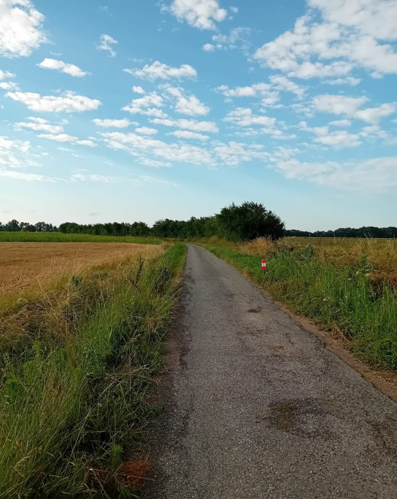 Petite boucle de Launac - Launac