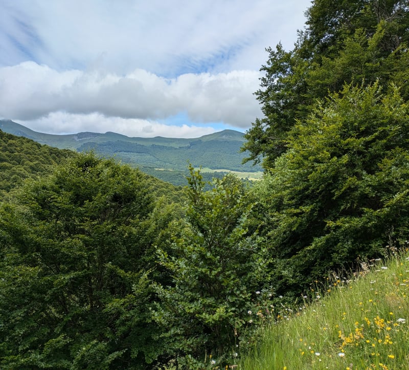 Circuit des Burons - Le Claux