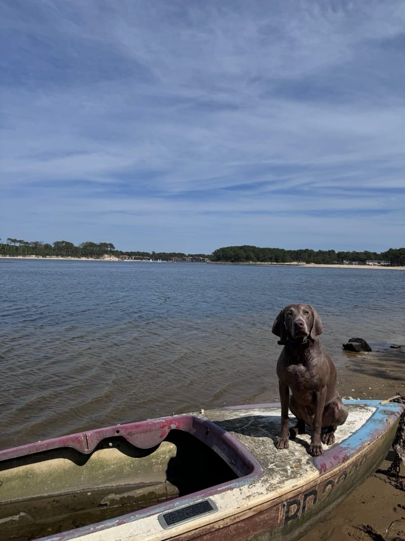 Le tour du lac d’Albret - Soustons