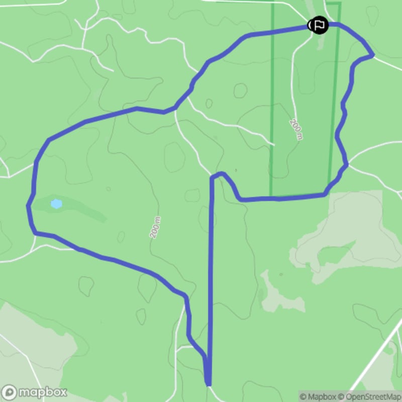 Ścieżka wzdłuż rzeki Pilicy - spacer przez lasy z Żytkiejmi, 8,1 km, poziom trudności średni - Żytkiejmy