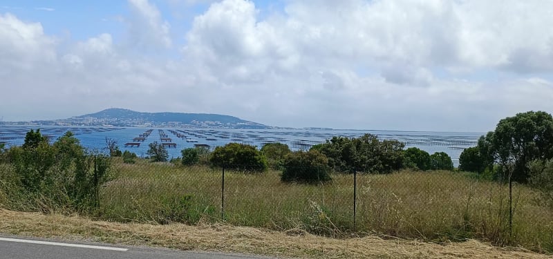 De Loupian au port de Balaruc les Bains - Loupian