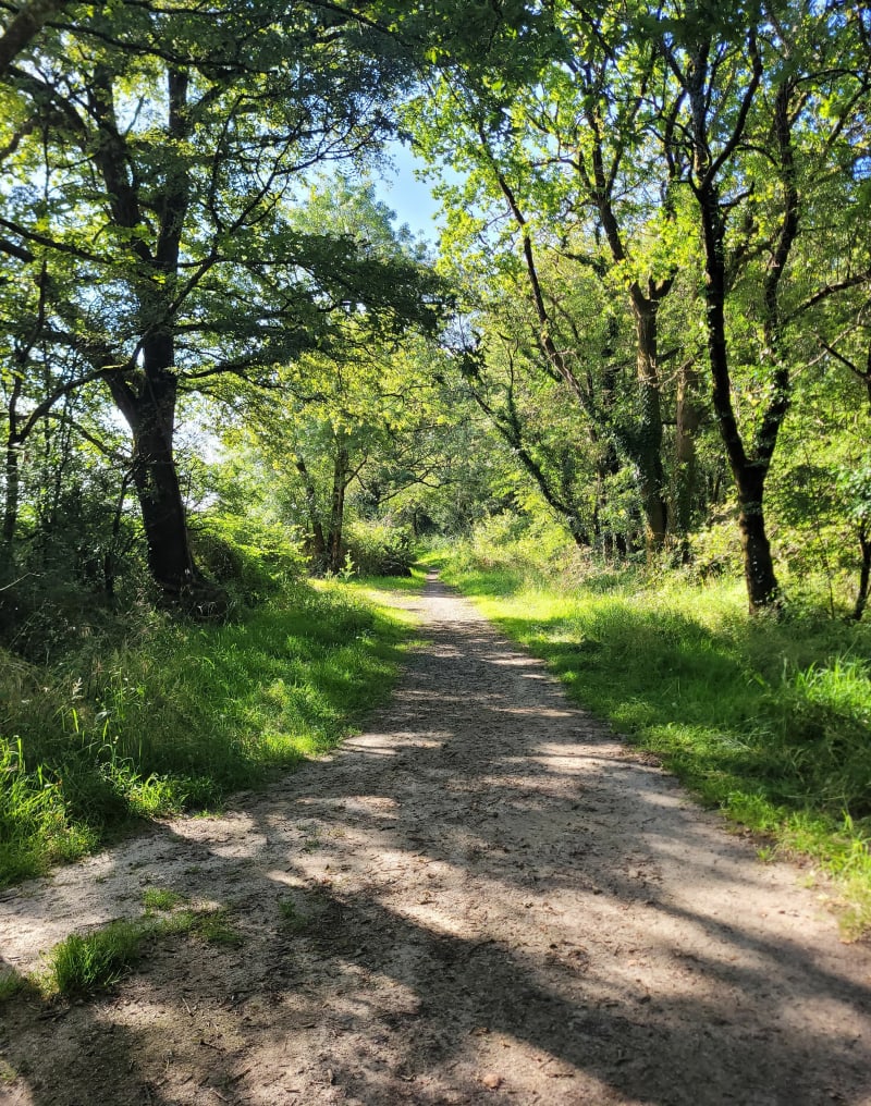 Balade sur chemin et route depuis Bouaye - Bouaye
