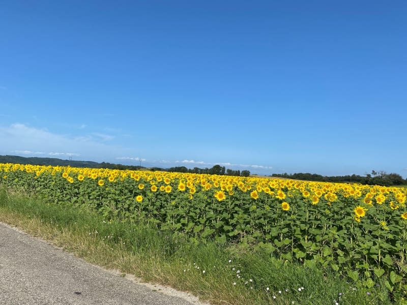 Viree au Sud dans les Terres Froides - Nivolas-Vermelle