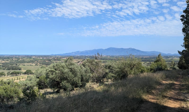 Roc de Majorque - Terrats
