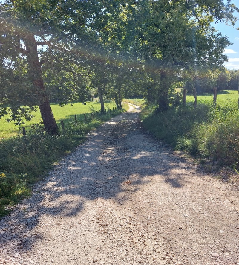 Boucle entre prairies et forêts à Preyssac - Terrasson-Lavilledieu