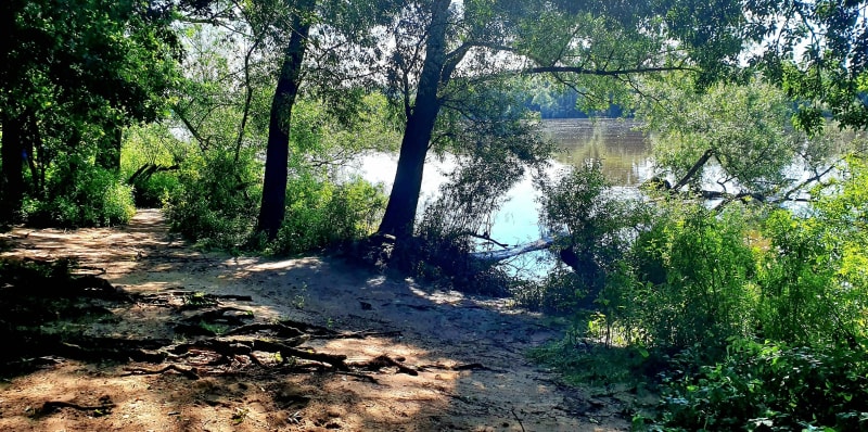 Balade ombragée en bord de Loire, en compagnie des oiseaux - Sainte-Luce-sur-Loire