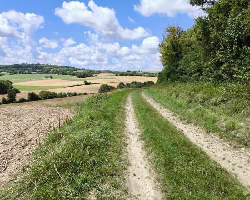 Randonnée au Charrons - Montigny