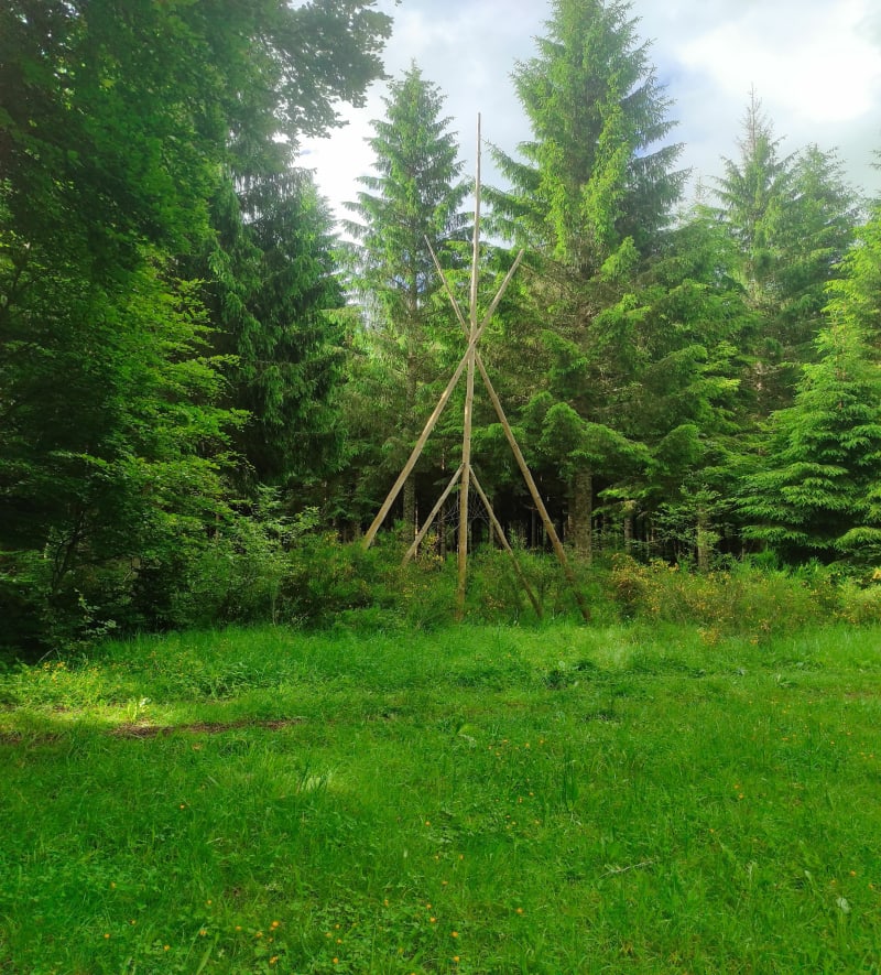 Balade forestière autour du tipi des scouts dans le Puy de Dôme - Ceyssat