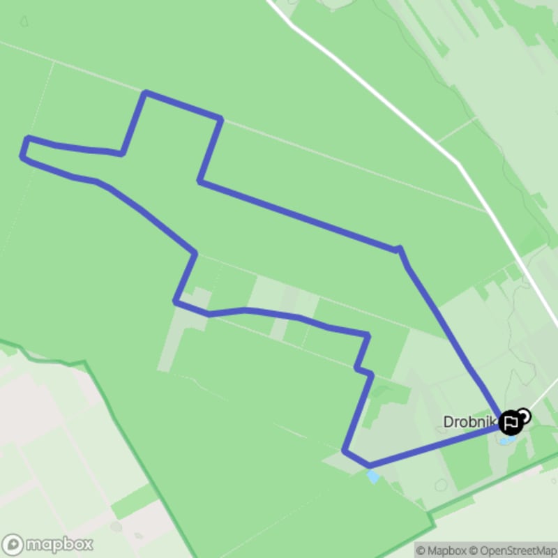 Ścieżka w Kisielewie o długości 8,4 km z poziomem trudności umiarkowanym - Kisielew