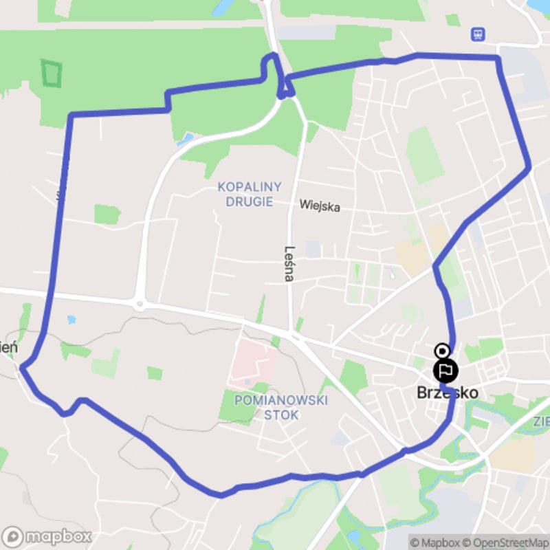Średni poziom trudności, 10,1 km dystansowy spacer od Brzeska - Brzesko