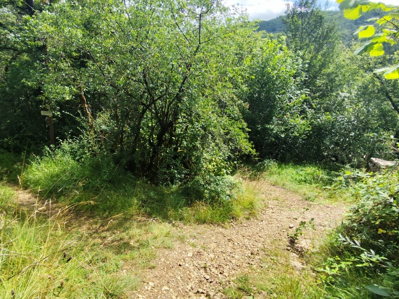 Saut et marmites de Charmine à Matafelon-Granges - Matafelon-Granges