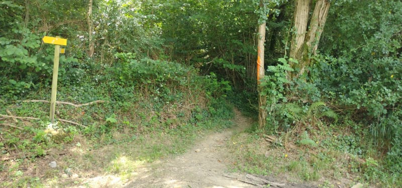 Oloron Sainte Marie, Camp César - Oloron-Sainte-Marie