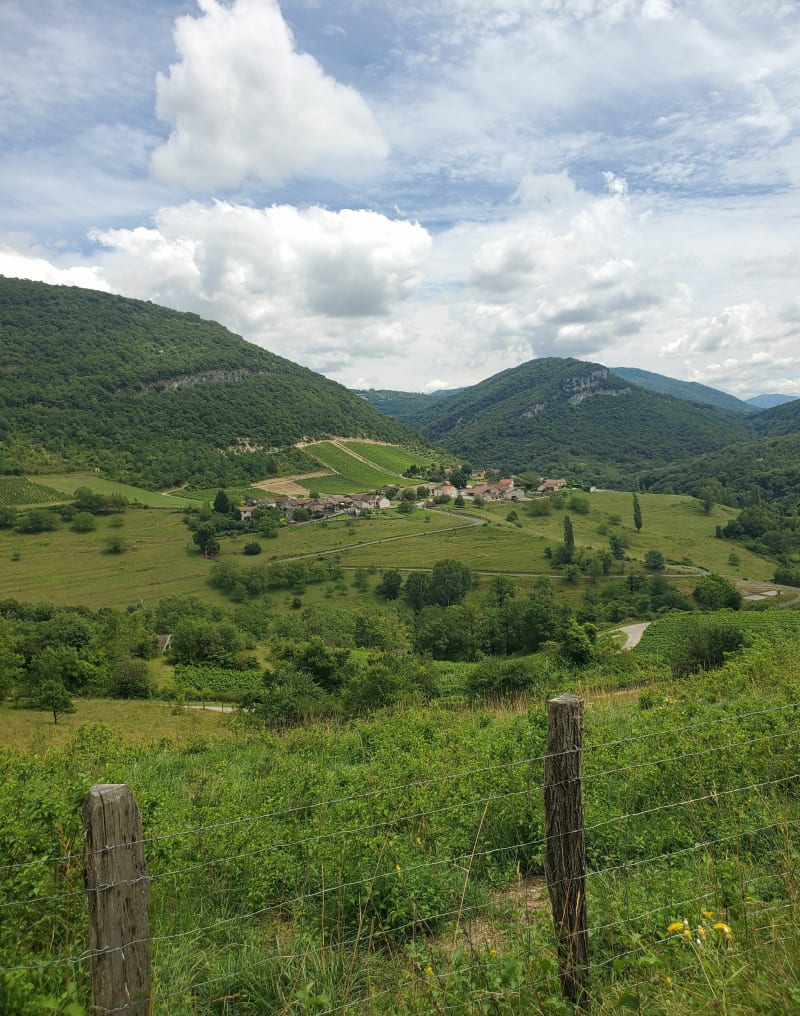 Autour du col de Porte - Vaux-en-Bugey