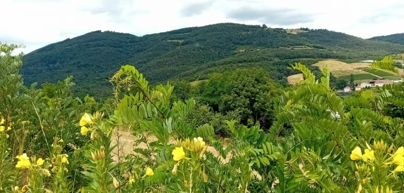 Balade dans les Monts du lyonnais de Messimy à Yzeron et retour - Messimy