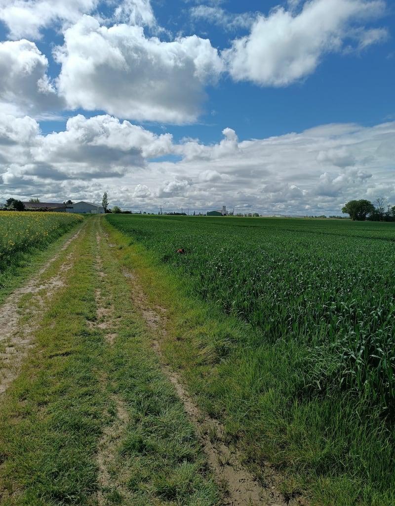 Saint André - Quessigny - Saint-André-de-l'Eure