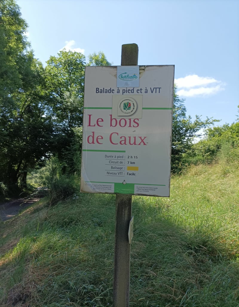 Le bois de Caux à Saint Donat - Saint-Donat