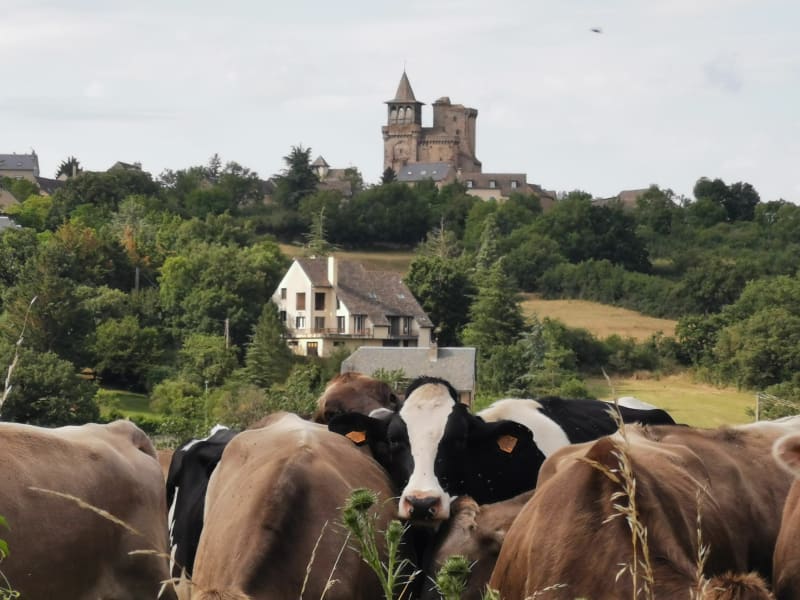 Sainte Radegonde, la campagne aux portes de Rodez - Sainte-Radegonde