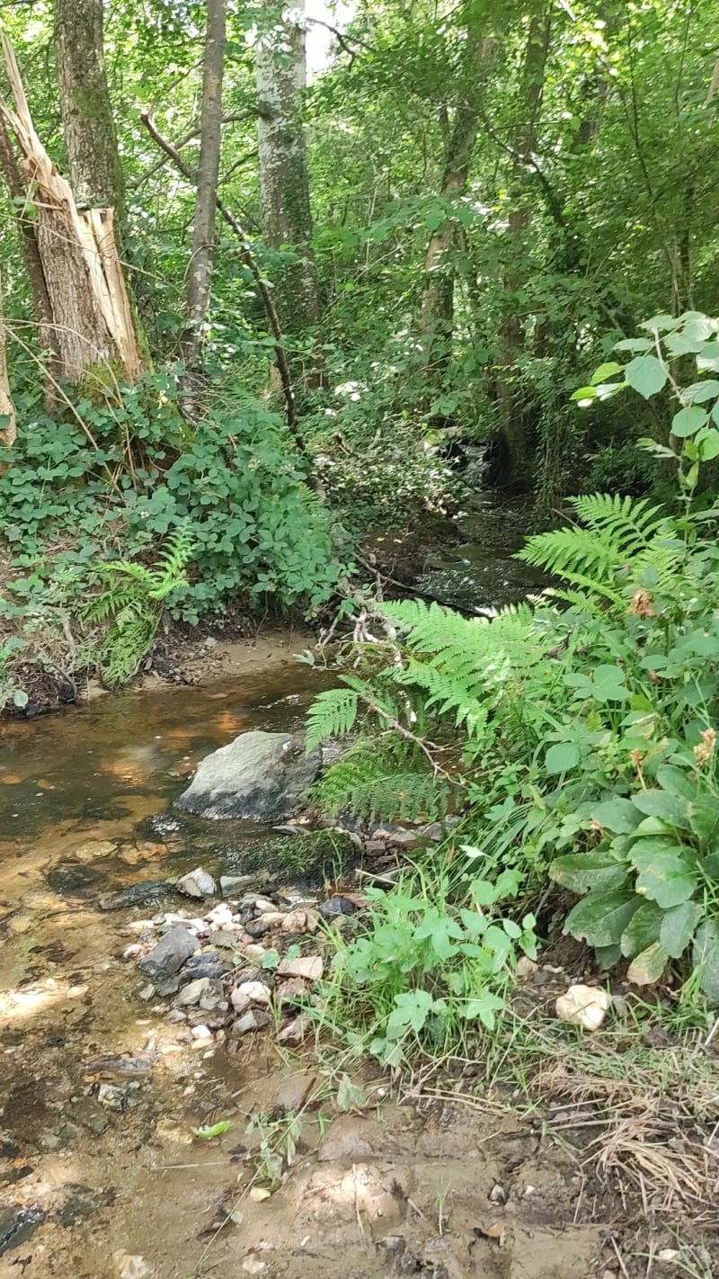 Randonnée dans la campagne préverangeoise - Préveranges