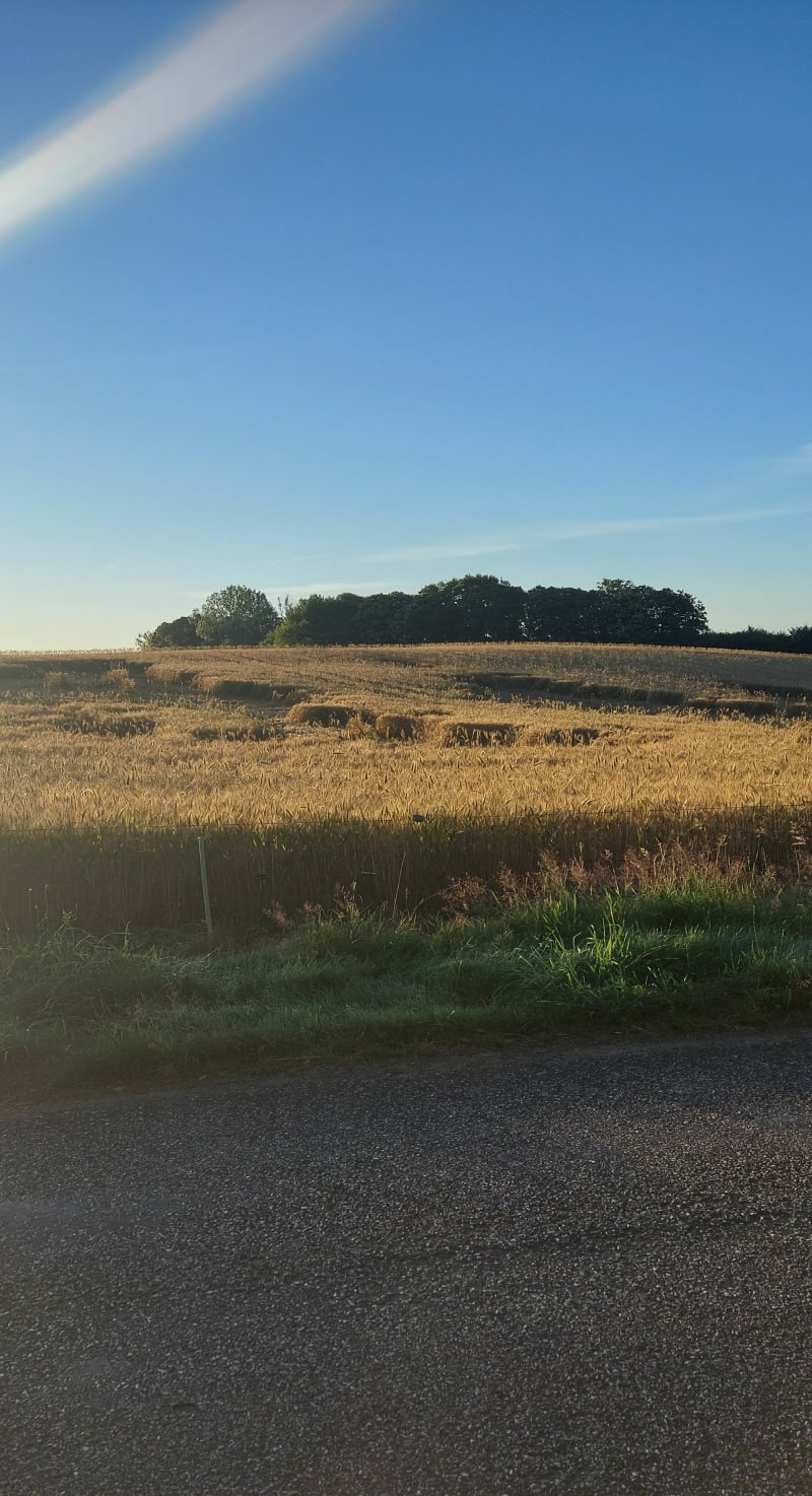 Cœur D'Albussac, clocher du Pescher - Albussac