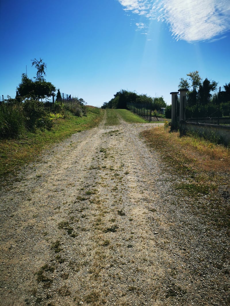 Balade dans les champs de Conflans-sur-Seine - Conflans-sur-Seine