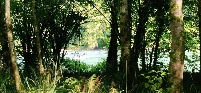 Petite boucle dans la forêt de Lourdes - Lourdes