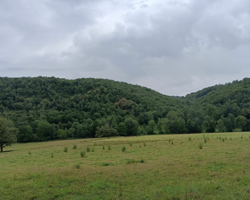 Domaine du Chambon - Eymouthiers
