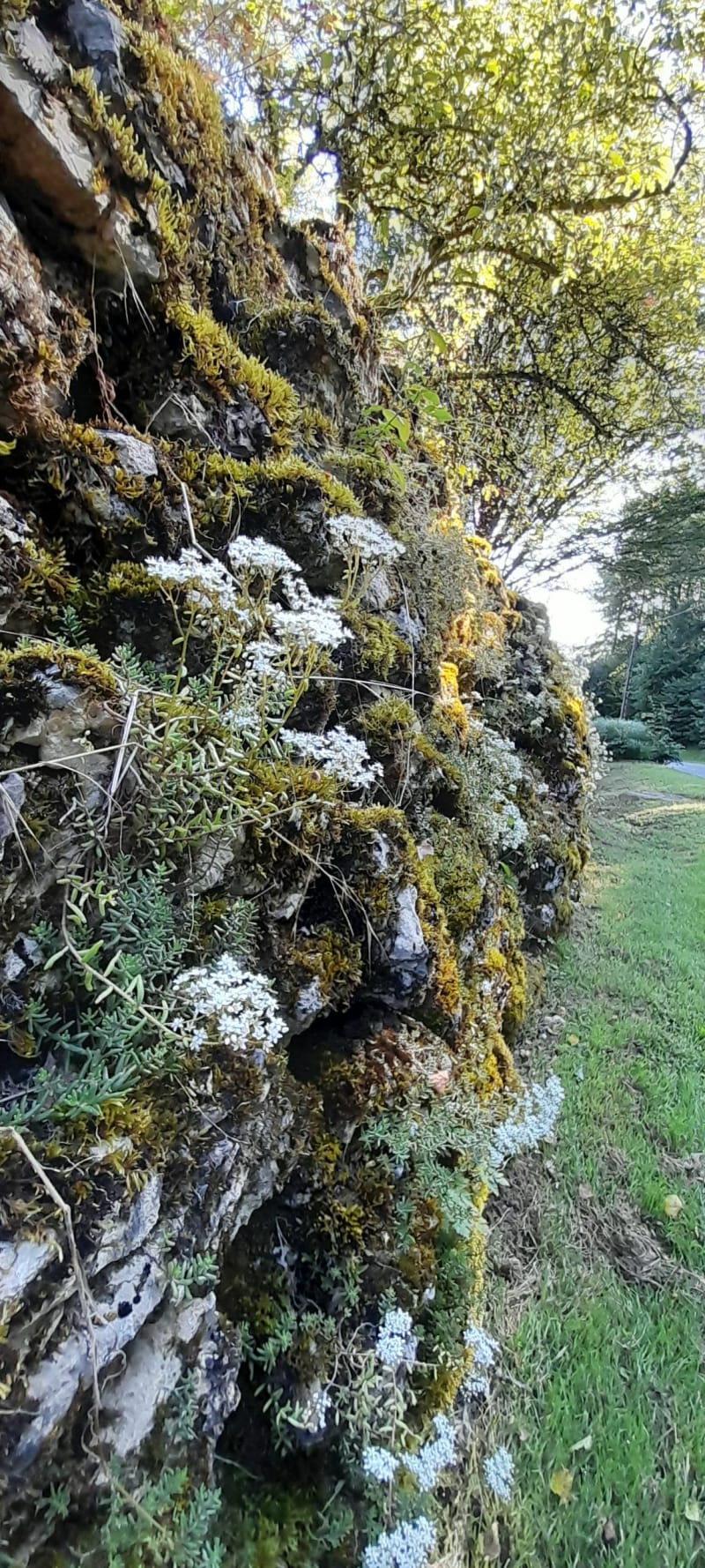 Boucle mi chemin blanc et canal à Foulain - Foulain