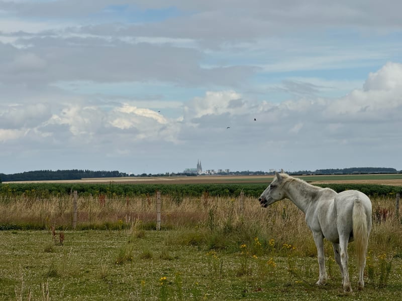 Gravel autour de Chartres & diverses communes. - Chartres