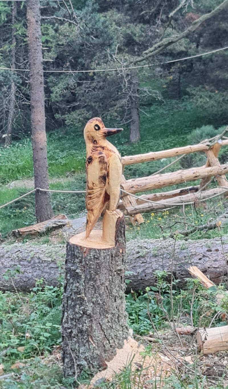 Boucle  Font Romeu, Estany del Tico. - Bolquère