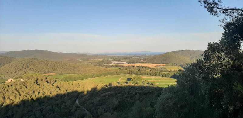 A la Crau, Mont Redon au dessus des vignes, la méditerranée - La Crau