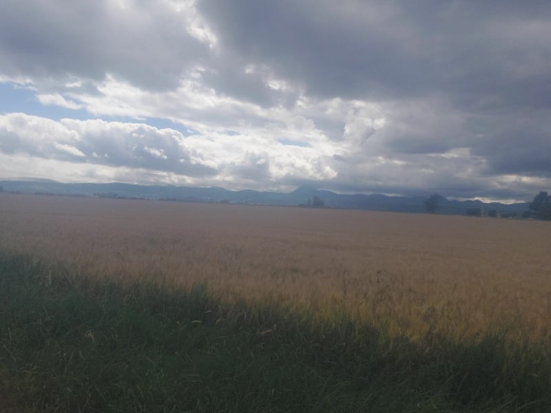Vue Puy de Dôme - Aulnat