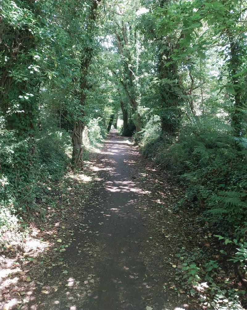 Boucle à vélo de St-Jacques à St-Armel - Sarzeau
