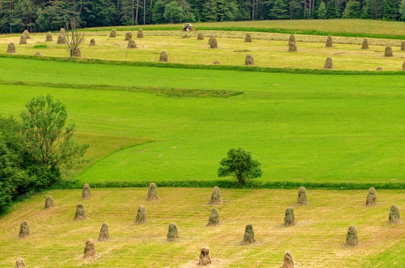 Beskid Sądecki – poznaj ten wyjątkowy region górski - Łomnica-Zdrój