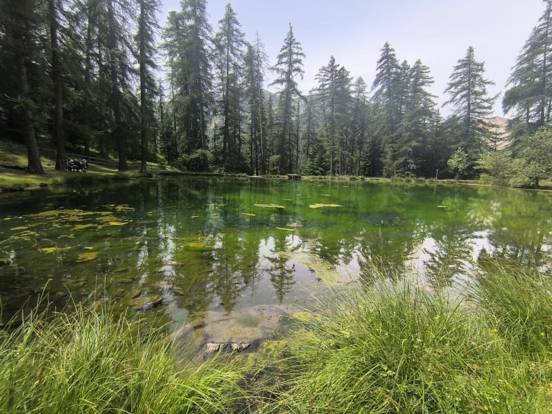 Du gîte de la Draye au lac Lauzerot - Crots