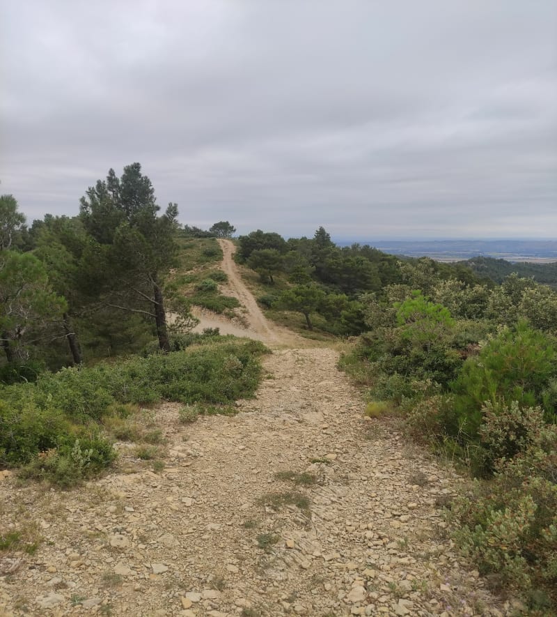 Circuit au départ de St-Etienne-du-Grès - Saint-Étienne-du-Grès