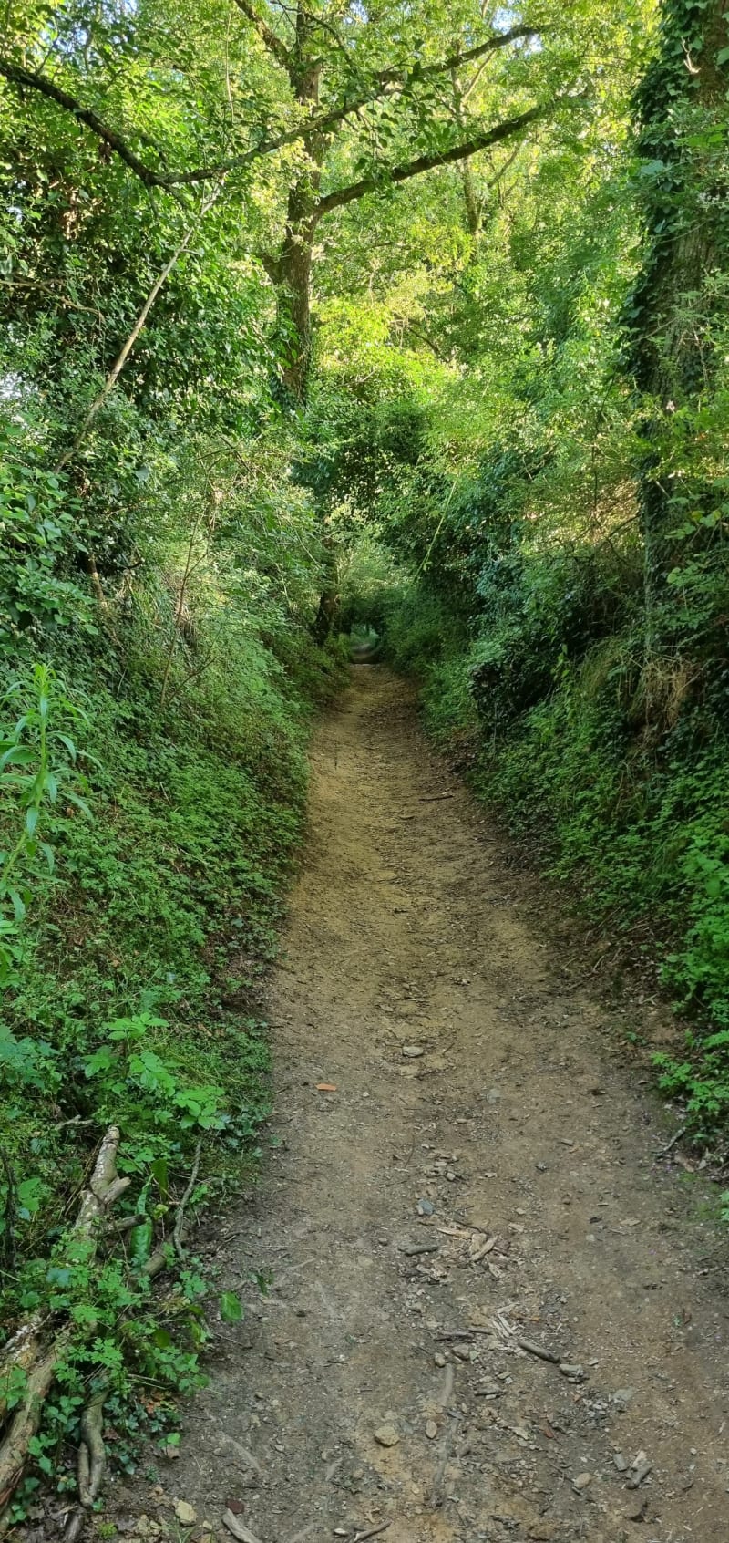 Chemin des Canons - Beaupréau-en-Mauges