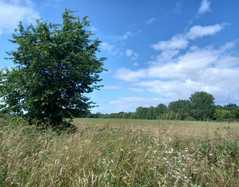 Boucle Saint Mathurin les Achards - Saint-Mathurin