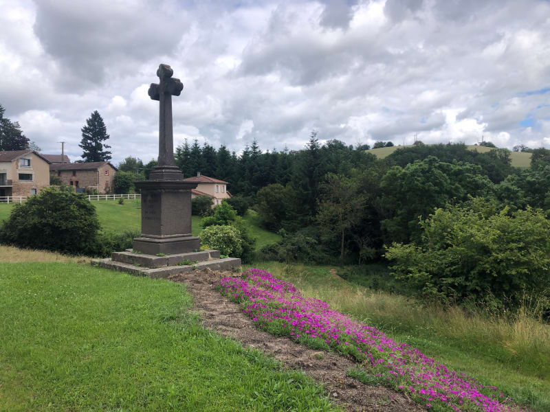 Tour de Viricelles, entre forêt et champs - Viricelles