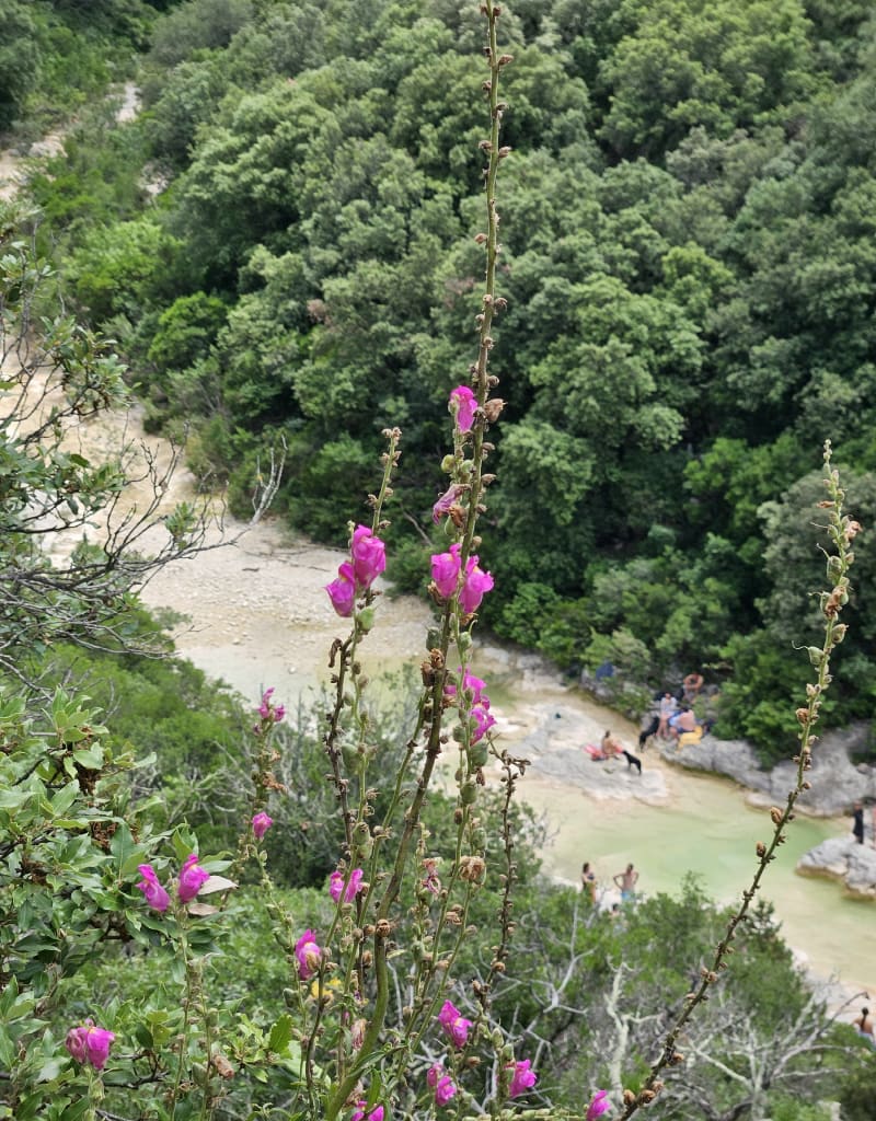 Cascades des Aiguières - Bouquet