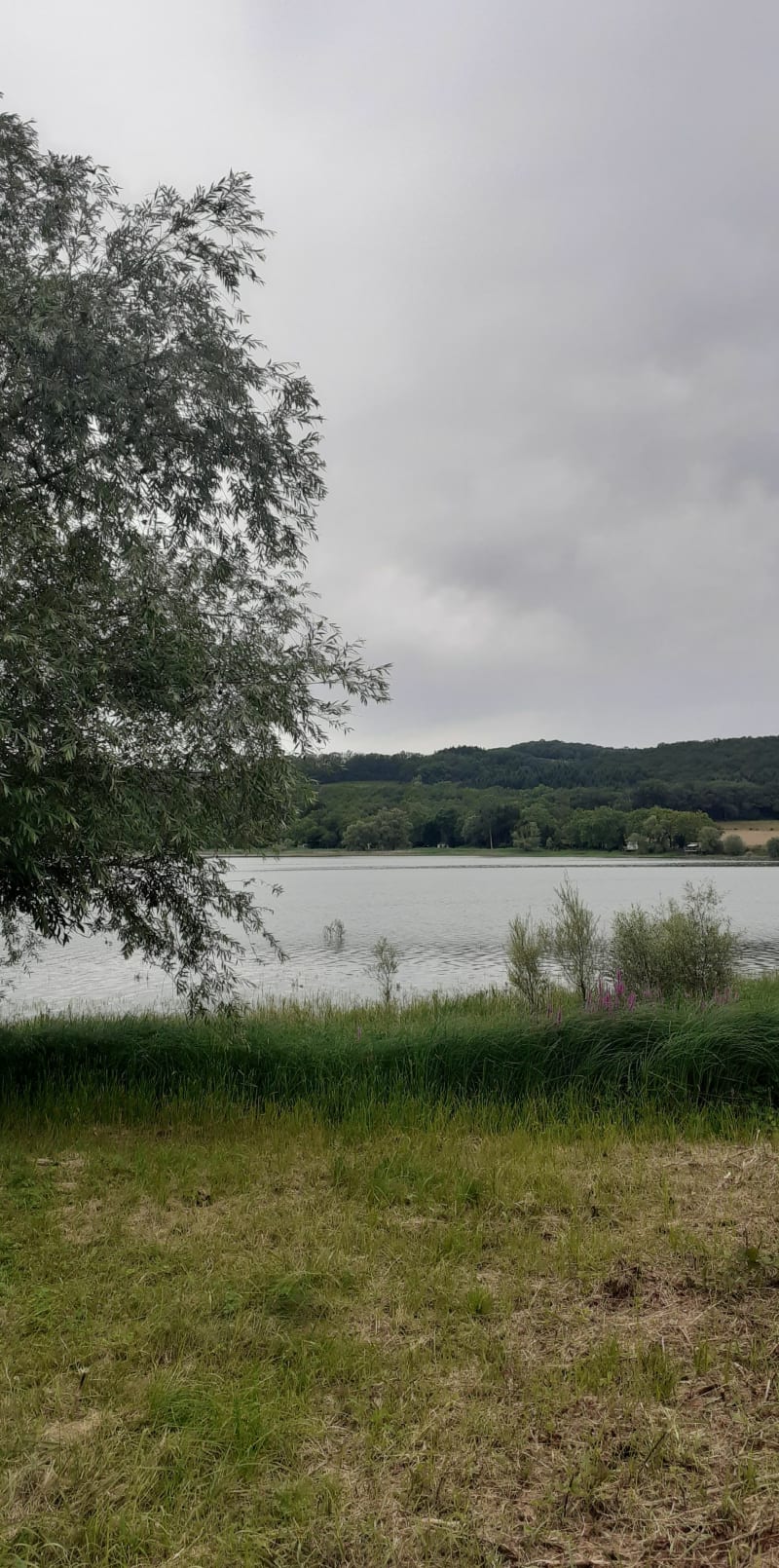 Tour de la réserve de Panthier - Vandenesse-en-Auxois