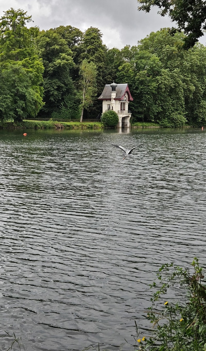 Balade sur les bords du Loiret Olivet - Olivet