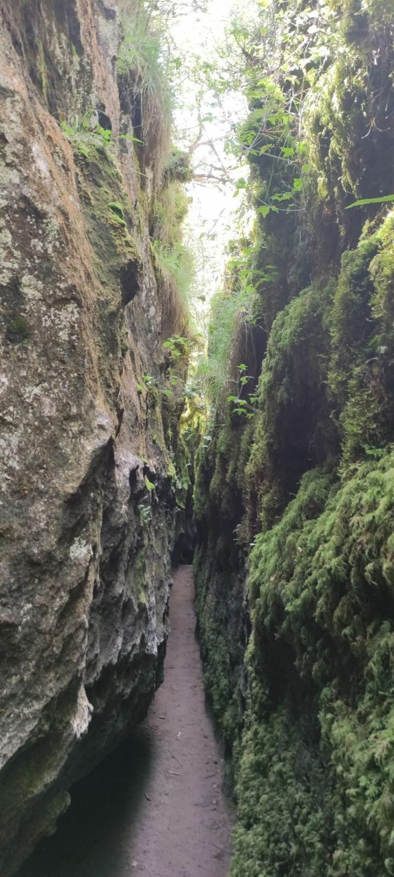Boucle des Canalettes - Nant