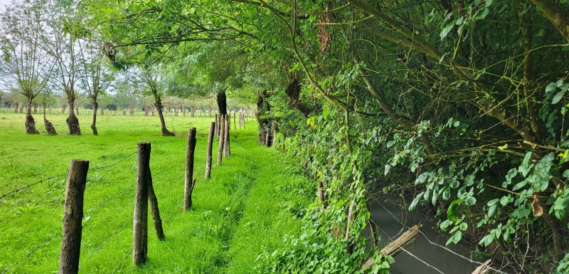 Balade tranquille dans les marais depuis Saint-Pierre-le-Vieux - Saint-Pierre-le-Vieux