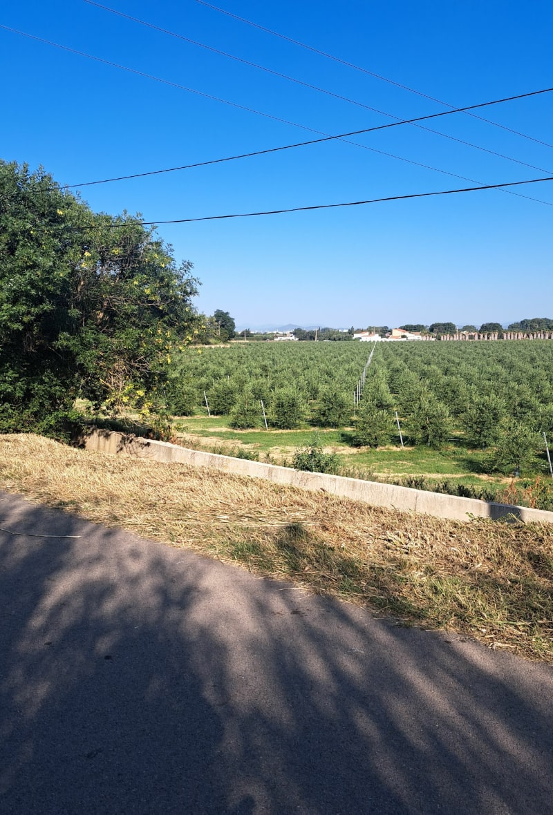Balade au jardin Saint-Jacques à Perpignan - Perpignan