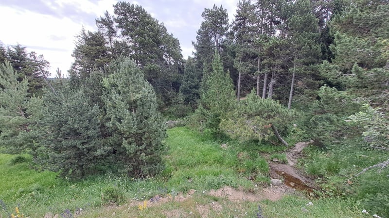 Toute la vallée de Pyrénées 2000 - Bolquère