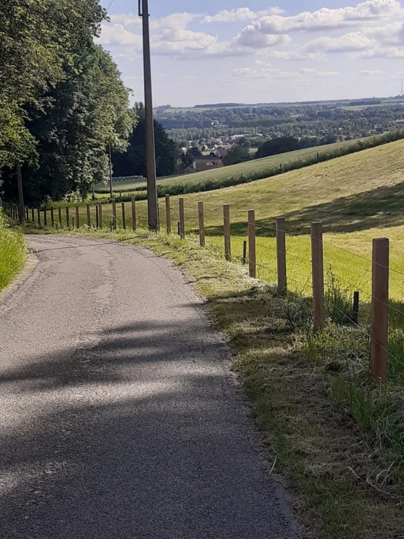 De Lille à Mont-Saint-Aubert - Lille