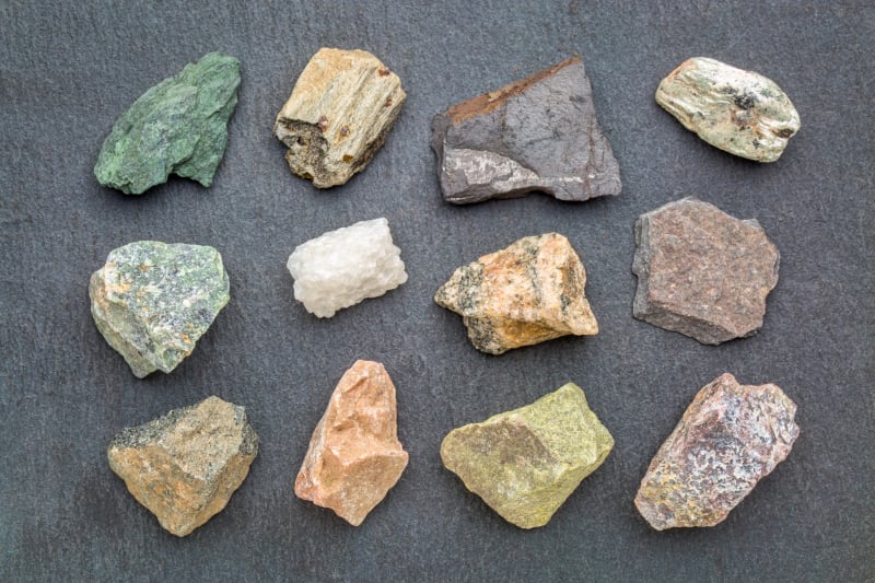 Muzeum Geologiczne - naukowe i zielone zakątki Warszawy - Warszawa